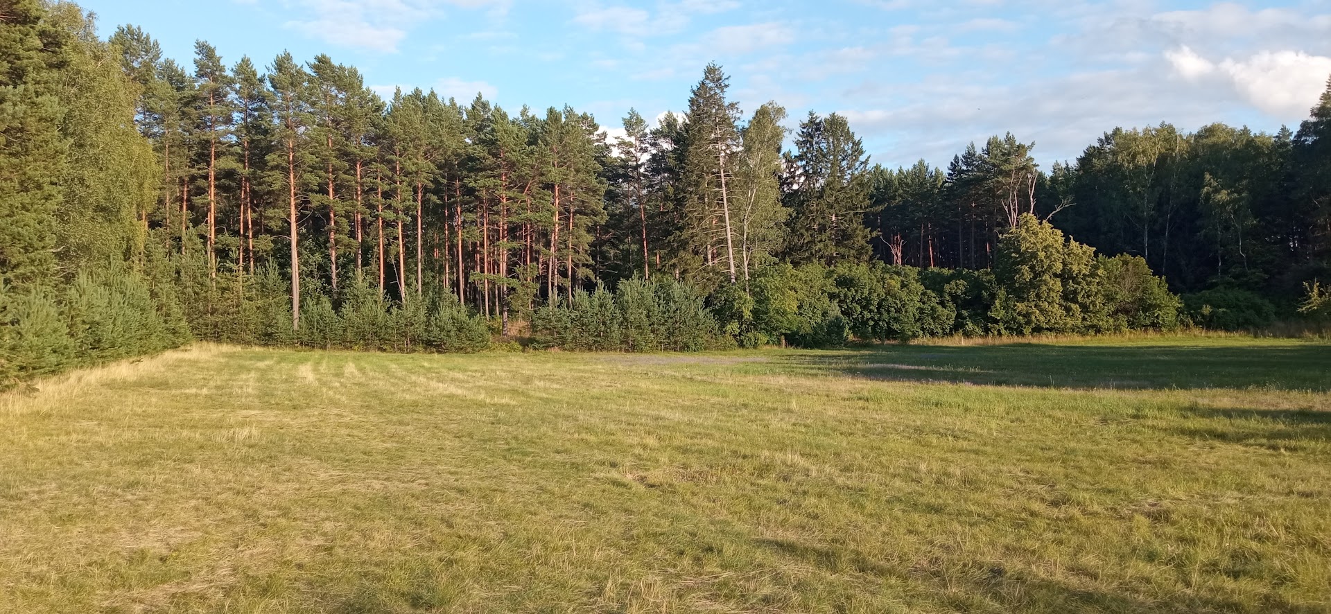 Pole namiotowe - widok ogólny