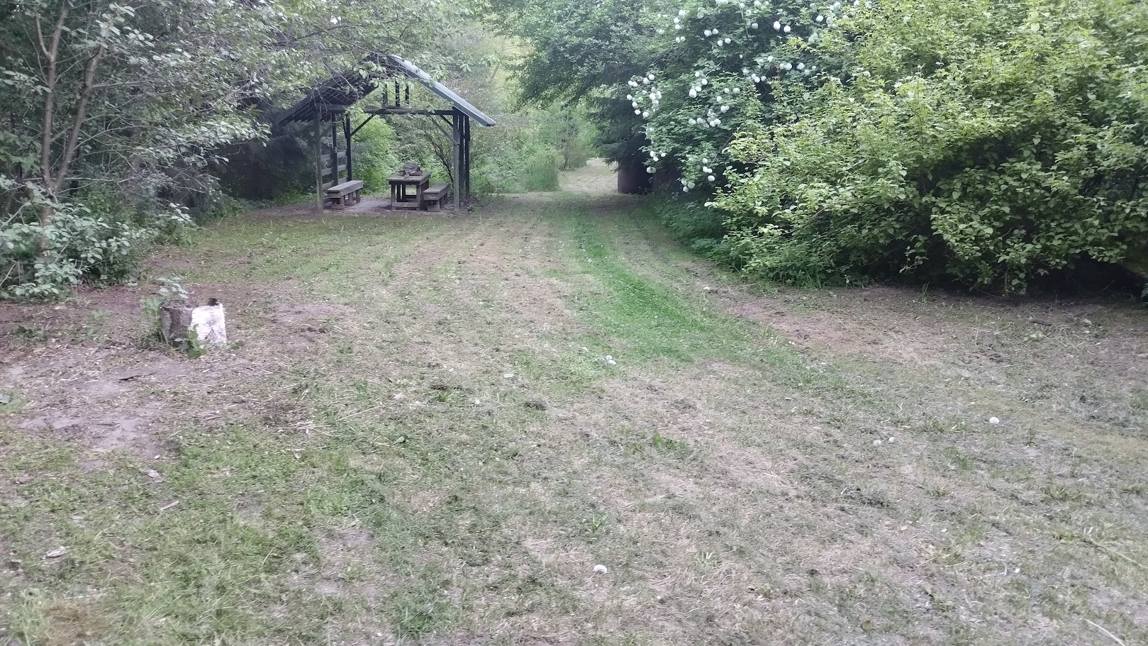 Forest Floor - publiczność