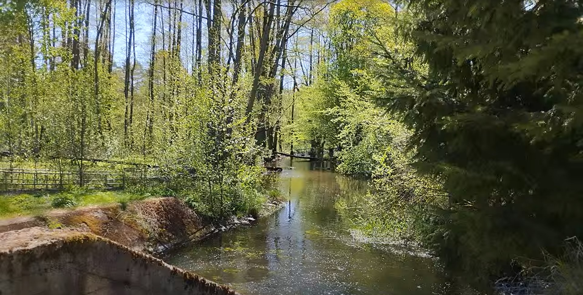 Riverbank - miejsce do kąpieli